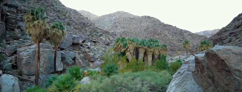 Anza-Borrego Desert State Park