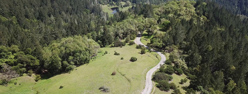 Armstrong Redwoods State Reserve