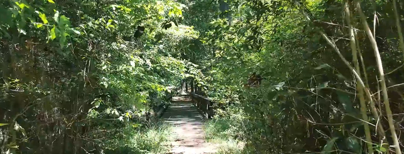 Big Thicket National Preserve