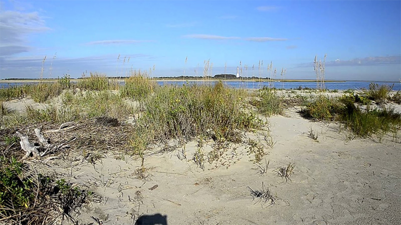 Cape Romain National Wildlife Refuge