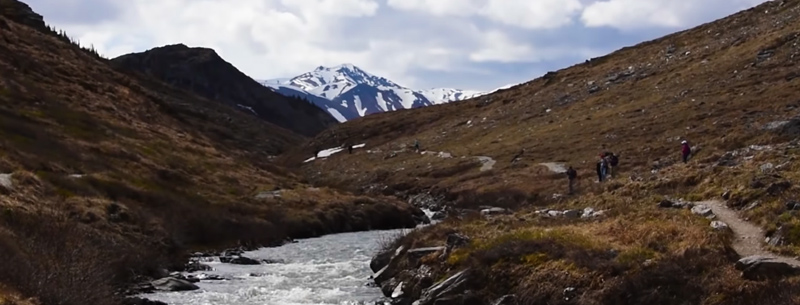 Denali National Park