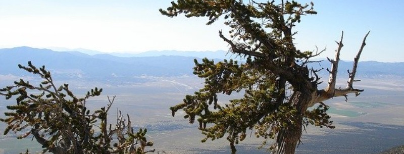 Great Basin National Park