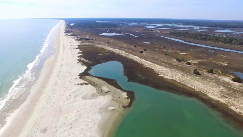 Huntington Beach State Park