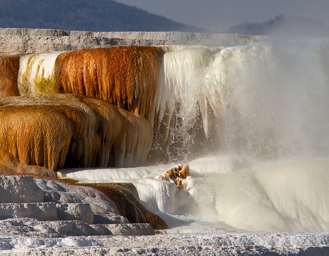 Mammoth Hot Springs 17