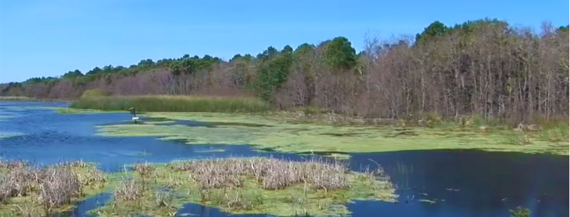 Myrtle Beach South Carolina Parks