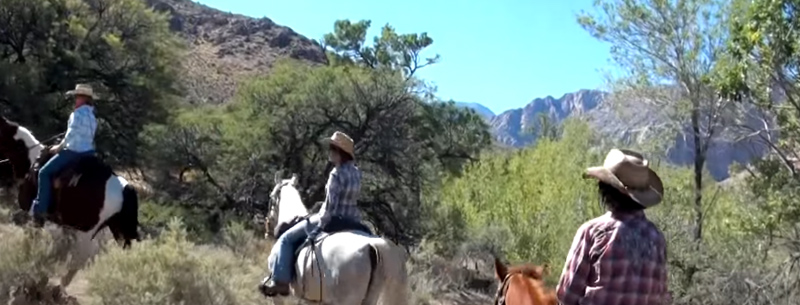 Red Rock Canyon By Horseback