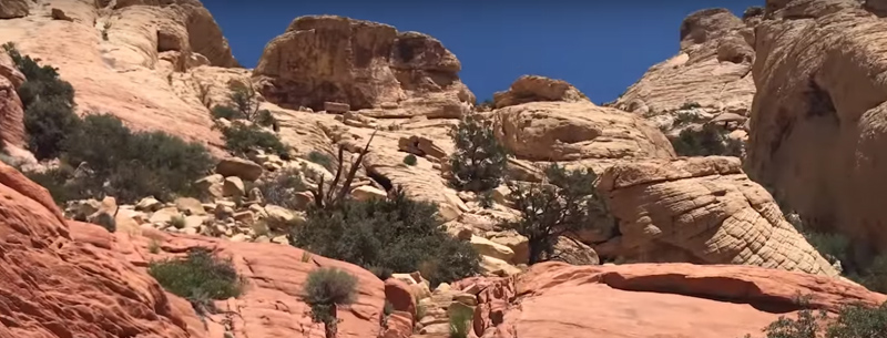 Rock Climbing Red Rock Canyon