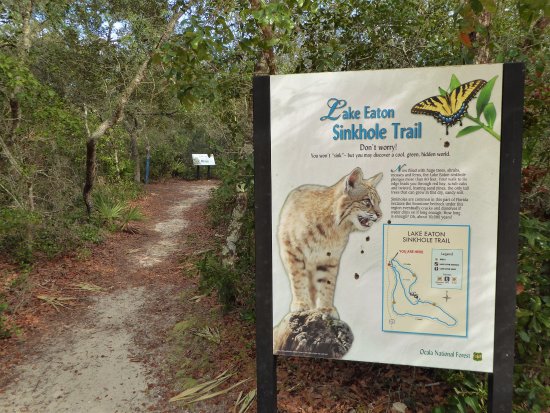 Lake Eaton Sinkhole Trail