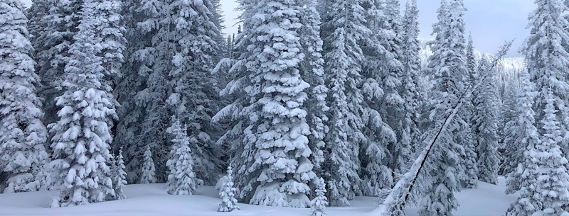 Steamboat Springs Winter Resorts