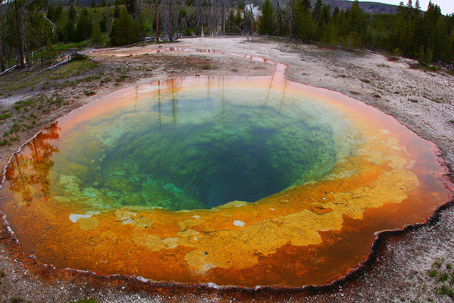 Morning Glory Pool, Yellowstone National Park