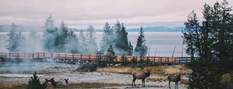 Yellowstone Planning Tips