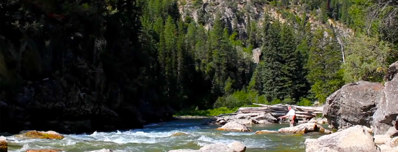 Yellowstone river Wyoming