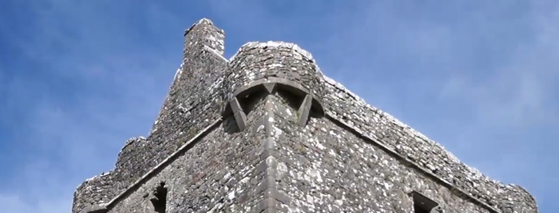 Tower Houses & Castles Of Ireland