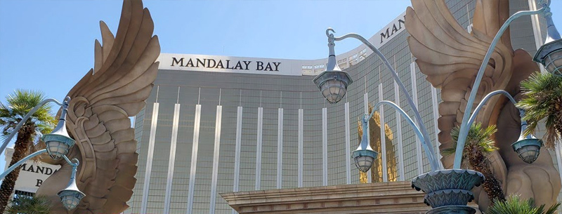 Mandalay Bay Brings the Ocean to You