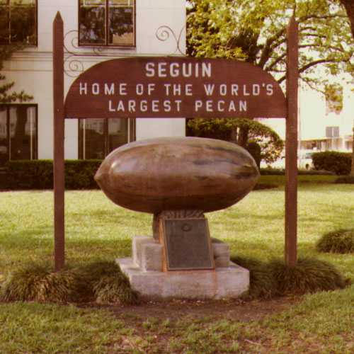 https://freefun.guide/wp-content/uploads/2020/08/seguin-largest-pecan.jpg