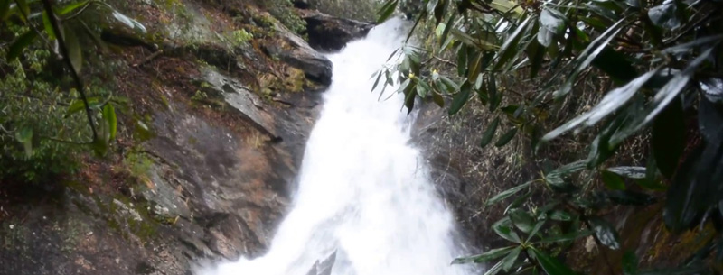 Ellicott Rock Wilderness, NC