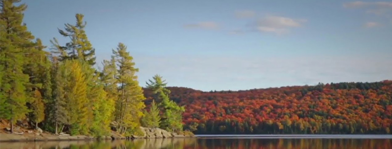 Explore Algonquin Park in Ontario