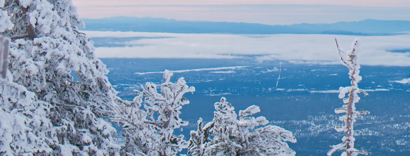 Arizona Snowbowl