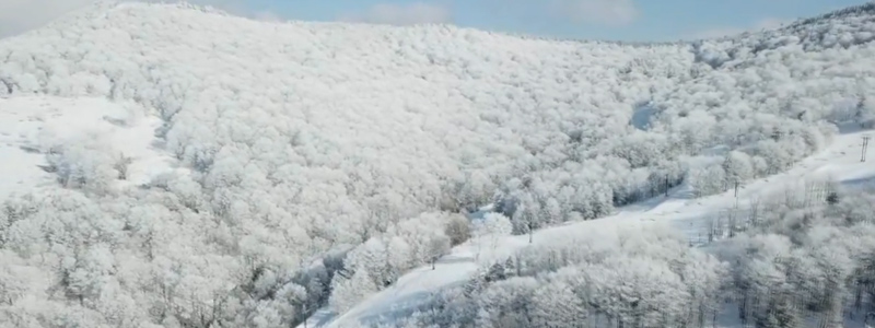 Canaan Valley Resort