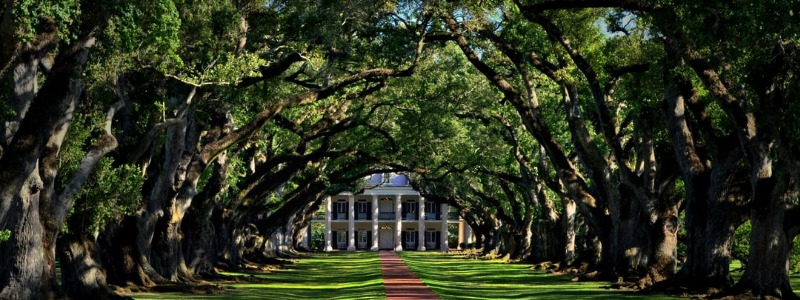 Plantations of Charleston, SC