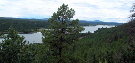 Picture of Lower Lake Mary