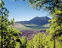 O'Leary Peak Trail