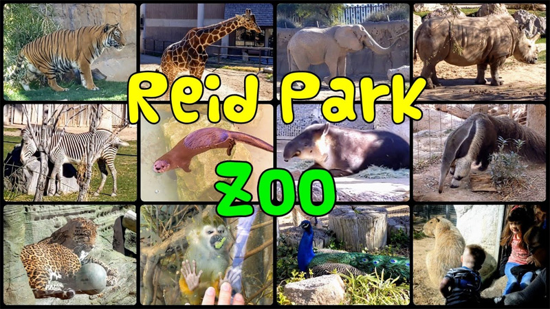 Reid Park Zoo