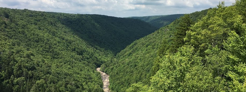 Canaan Valley West Virginia