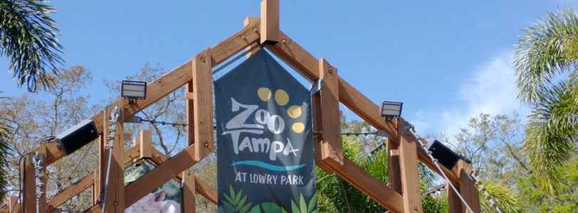 Lowry Park Zoo Tampa