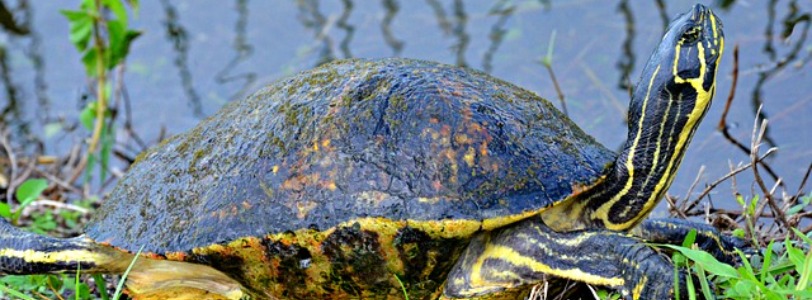 National Parks of Florida