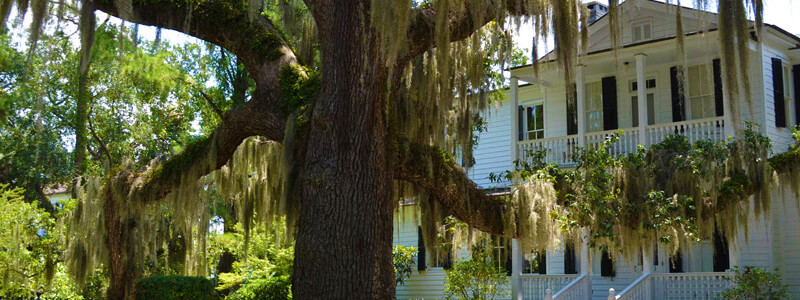 Beaufort SC Historic Homes