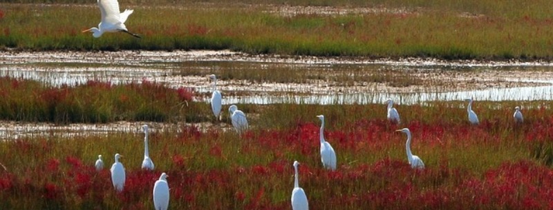 tourist attractions maryland