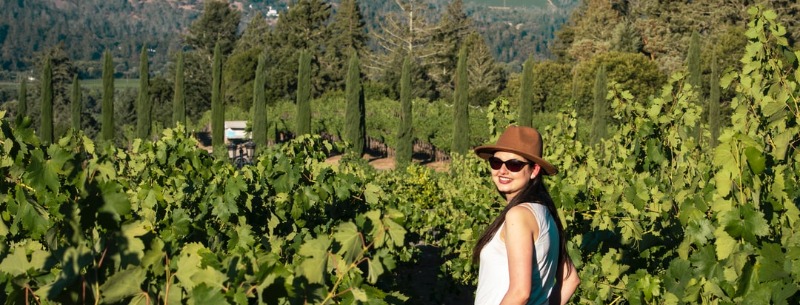 Napa Valley Hidden Gems & Places to Visit