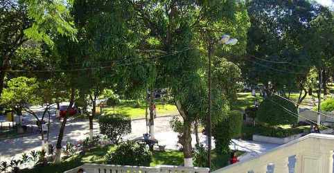 View of Cuscatlan Park from Salarrue Exhibition Hall