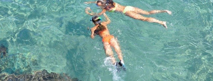 Snorkeling Around Aruba