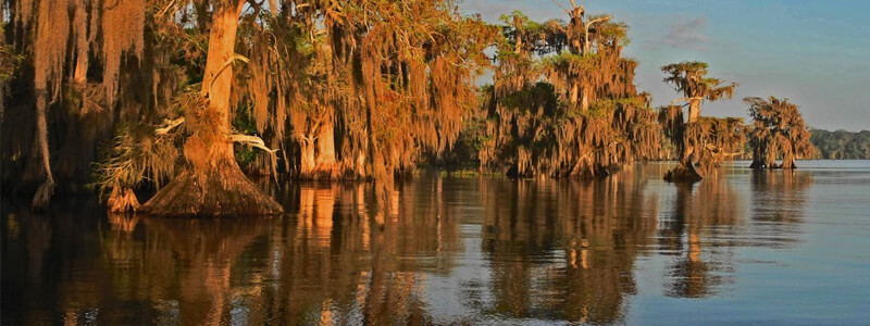 Blue Cypress Lake