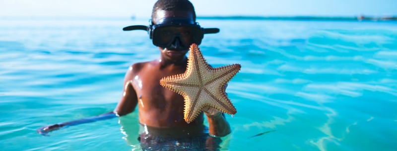 Top 10 Best Caribbean Islands for Kids & Families