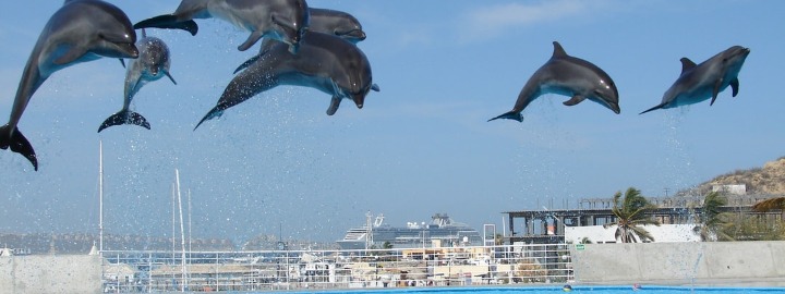 Myrtle Beach for Outdoor Enthusiasts