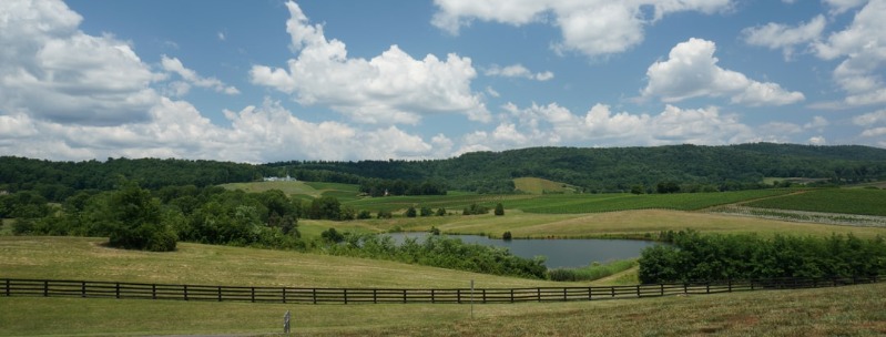 landscape Charlottesville