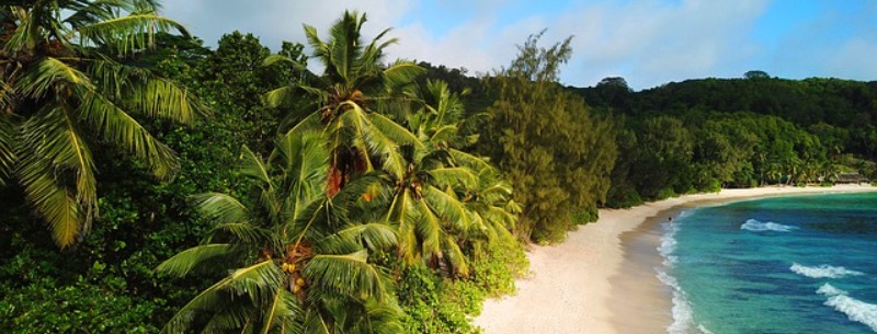 Beaches Barbados