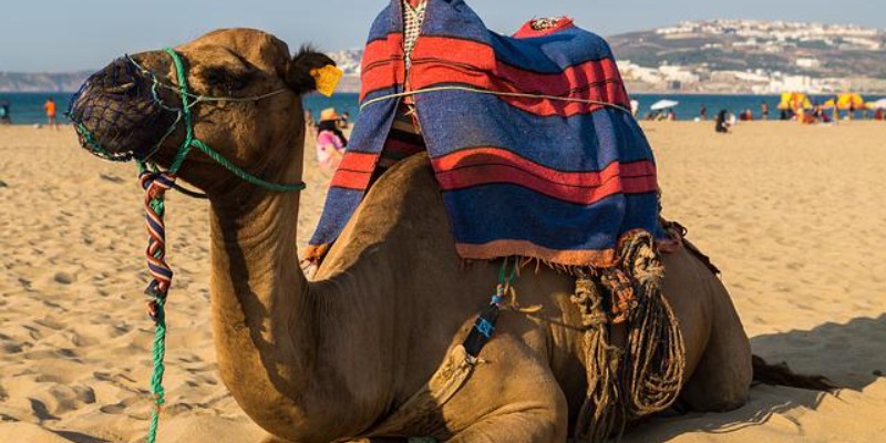 Beaches Egypt 