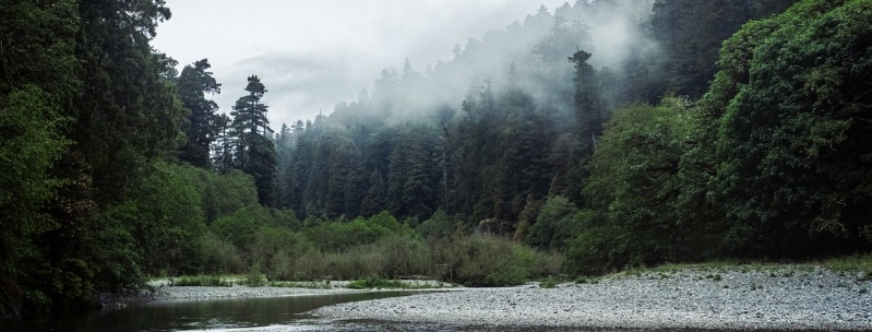 State Parks California