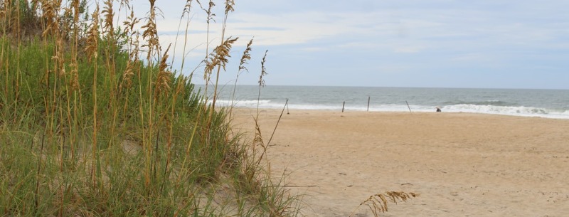 Cape Hatteras National Seashore