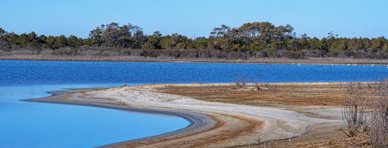 Chincoteague virginia Beach