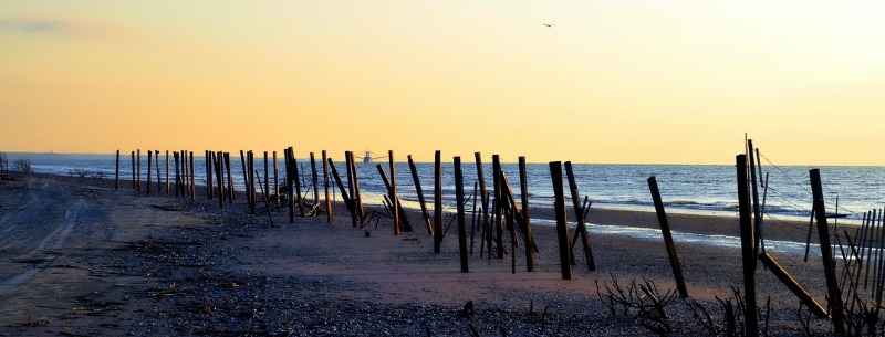 Edisto Island