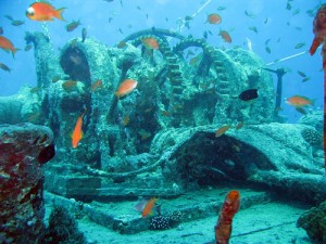 SS Thistlegorm