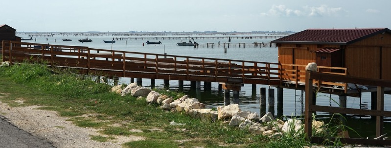 Sacramento River Delta