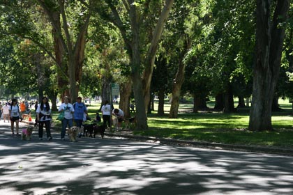 Picture of Land Park in Sacramento CA