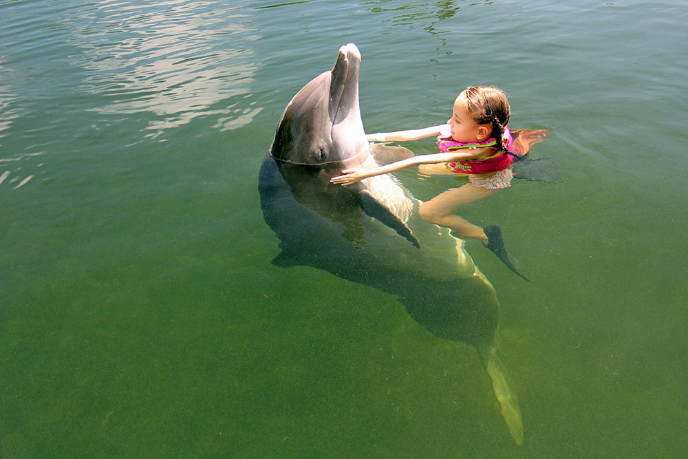 Swim with the Dolphin - Theater of the Sea