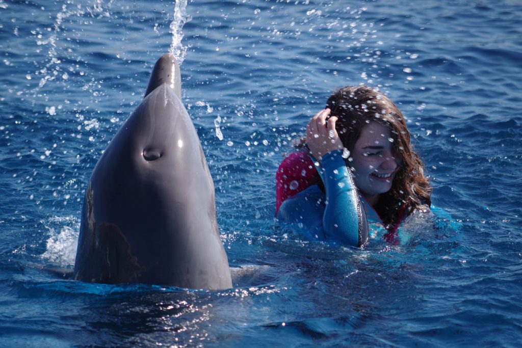 Marineland Dolphin Adventure Swimming with the Dolphins